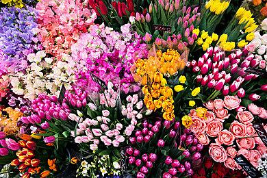 《逃离塔科夫》跳蚤市场将获重大更改 两周内暂时关停